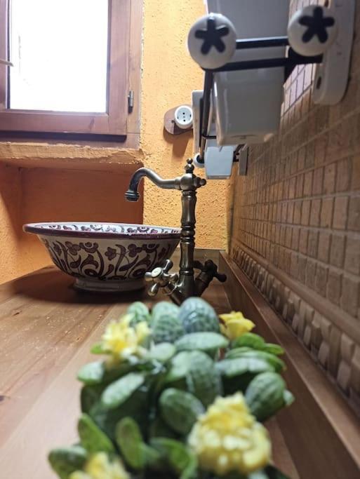 Raco Del Trinquet Villa Arboli Екстериор снимка